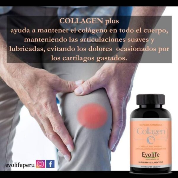 Collagen Plus x 100 Cápsulas Evolife