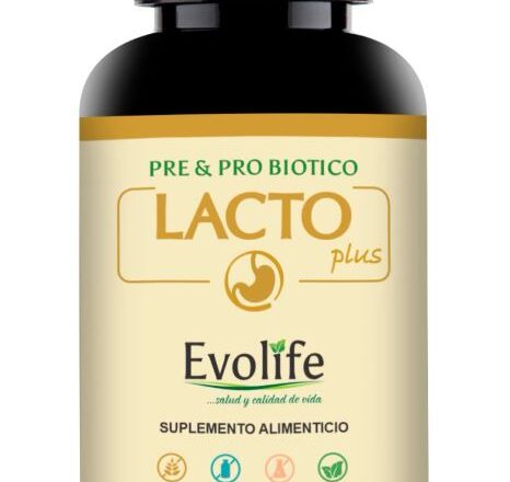Lacto Plus x 90 Cápsulas Evolife