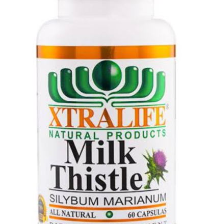 Milk Thistle 240 mg x 60 Cap Sundown